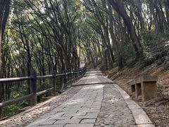 -苏州上方山国家森林公园