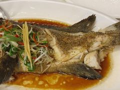 -子霖南山鲜虾面(南山总店)