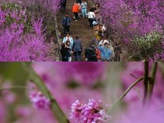 -天台山赤城山景区