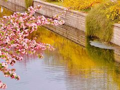 -元大都城垣遗址公园