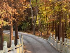 -溱湖国家湿地公园