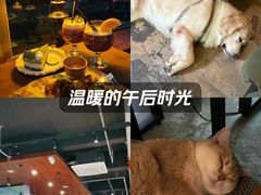 -咖法森林·咖啡  酒吧(天河店)