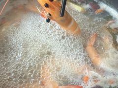 -濠轩阁特色生蚝火锅(水湾路店)