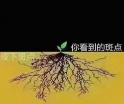 -香薇妮丝女子减肥院