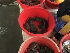 -板桥海鲜广场(文明东店)