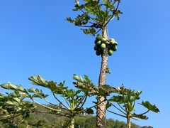 -涠洲岛火山国家地质公园