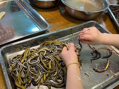 -乐山第一家临江鳝丝(茶坊路店)