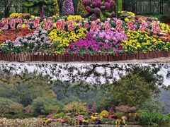 -杭州植物园