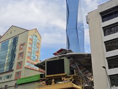 -罗汉果龙眼冰糖燉冬瓜