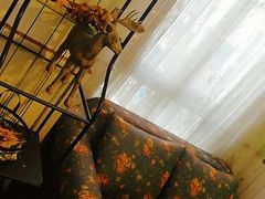 -秀儿家の小确幸花园西餐厅