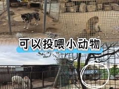 -河北村民俗体验园
