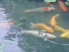 -白马涧龙池景区