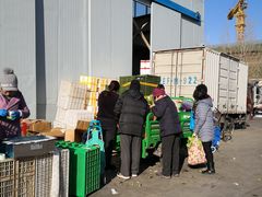 -北京新发地农产品批发市场-特菜交易厅