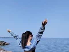 -合肥滨湖国家森林公园