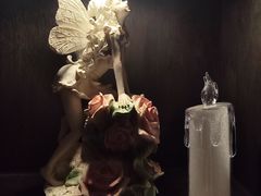 -雪灵魔法世界SHELLY’S TAROT(大良桂畔里店)