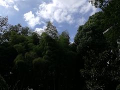 -上海市保健医疗中心(华东疗养院)