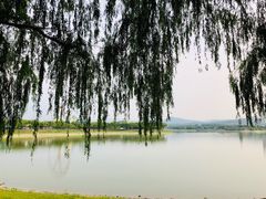 -济南国际园博园