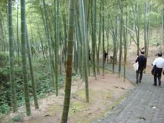 -天目湖山水园