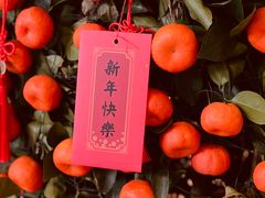 -杭州君悦酒店