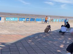 -南汇嘴观海公园