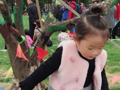 -前小桔亲子创意农场·草莓采摘·露营烧烤