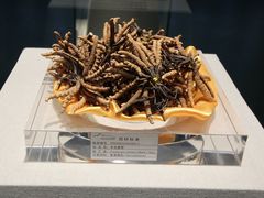 -青藏高原自然博物馆