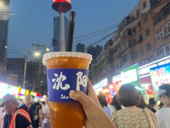 -辽宁电视塔