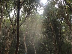 -白草畔自然风景区