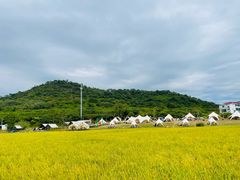 -艾米稻香小镇