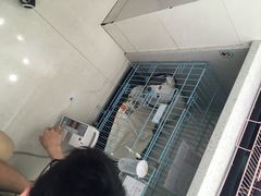 瑞鹏宠物医院(翠竹店)-瑞鹏宠物医院·微创内窥镜·骨外科·牙科(翠竹分院)