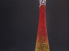 -珠江夜游西堤码头