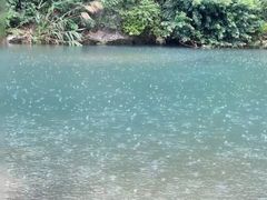 -梅州天地人花园酒店(梅县人民广场店)