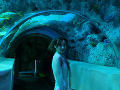 -芜湖新华联大白鲸海洋公园