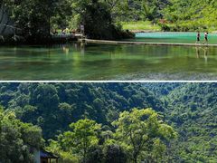 -靖西鹅泉风景区