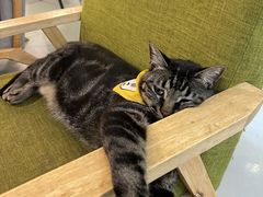 -唐咖精品咖啡(大理古城手冲店)