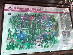 -东平国家森林公园