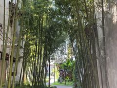 -乌村