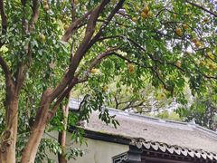 -汇龙潭