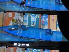 -重庆欢乐海底世界