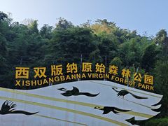 -西双版纳原始森林公园