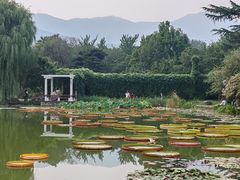 -国家植物园南园