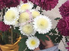 -惠州金海湾嘉华度假酒店