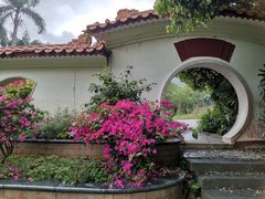 -深圳仙湖植物园