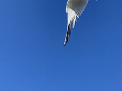 -呈贡滇池生态湿地公园