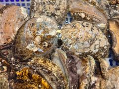 -南山鲜虾面·活鲜小馆·海味大连菜(南山总店)