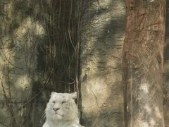 -杭州野生动物世界