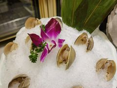白贝-沄记顺德菜打边炉(东直门店)