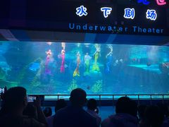 -泉城欧乐堡海洋极地世界