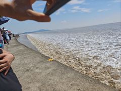 -观潮胜地公园