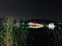 -大塘金香草谷